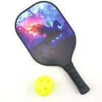 Fast Delivery Free Design Graphite Composite Pickleball Paddle With Ball