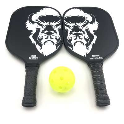 USAPA Approved Graphite Pickleball Paddle Set 4 Balls 2 Paddles