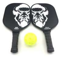 USAPA Approved Graphite Pickleball Paddle Set 4 Balls 2 Paddles