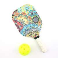 Edgeless Graphite Pickleball Paddle with Nomex Aluminum PP Honeycomb