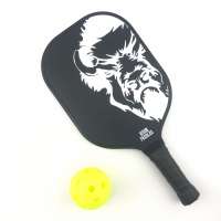 USAPA Standard Customized ODM Pickleball Paddle Free Samples